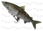 Ripper DAM Effzett Natural Whitefish - color Rainbow Trout