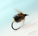 Fly RS Fish Nass MM06