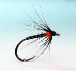 Fly RS Fish Nass MM07