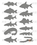 Stickers fish - color silver