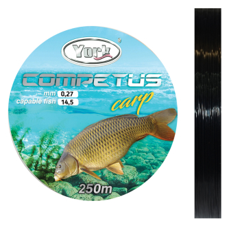 Fishing line York Competus Carp